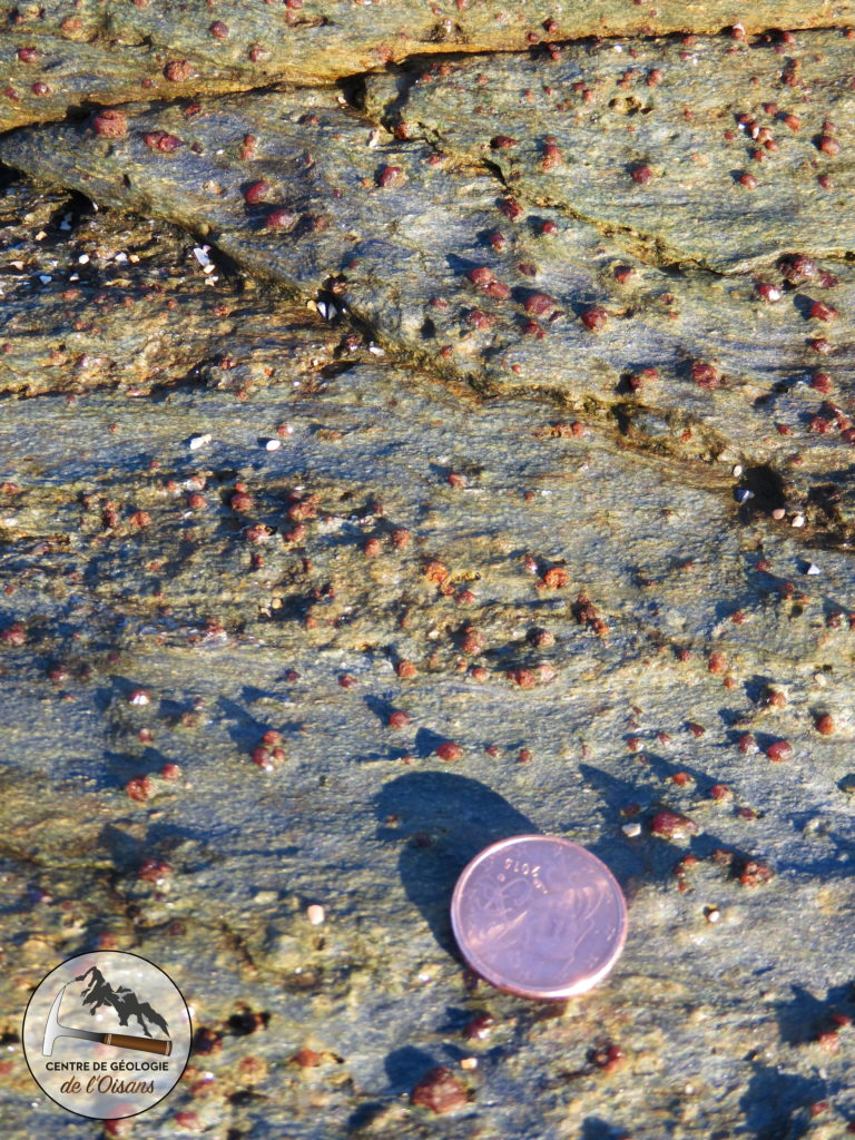 Assemblage Grenat+ Glaucophane : cette roche s'est formées dans le faciès des Schistes Bleus. Le minéral jaune-vert est l'Epidote.