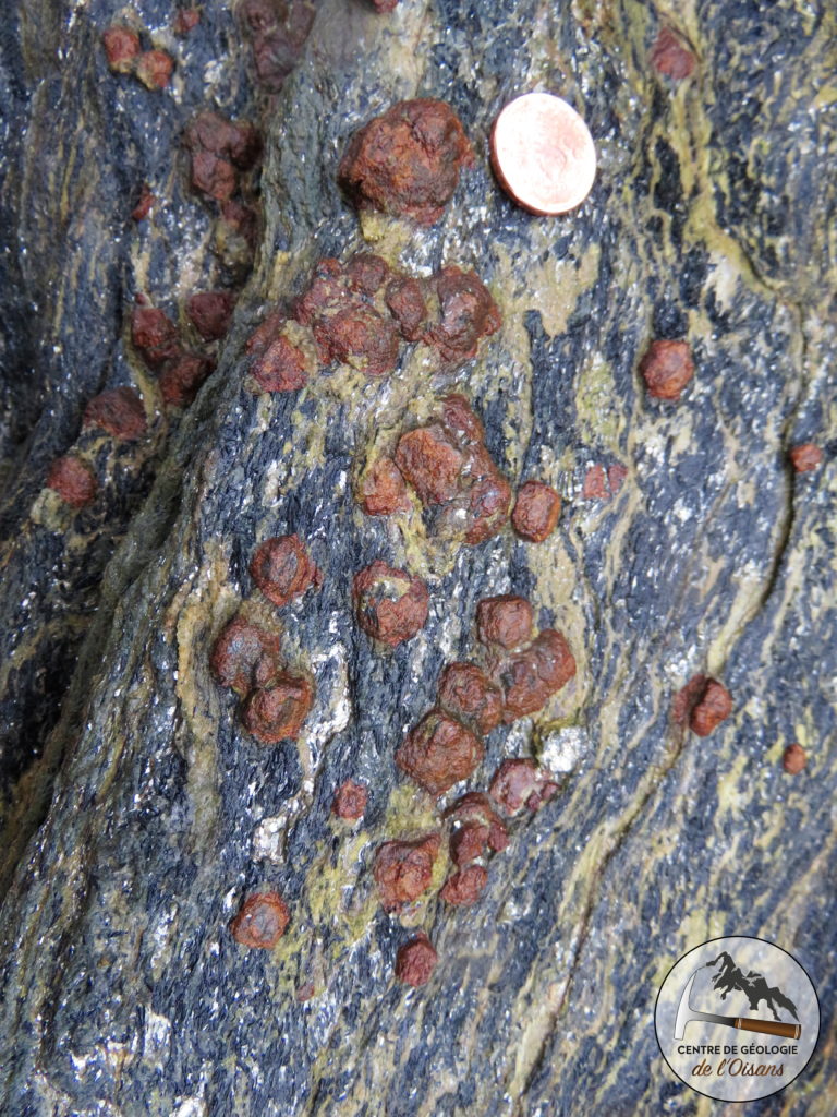 Assemblage Grenat+ Glaucophane : cette roche s'est formées dans le faciès des Schistes Bleus. Le minéral jaune-vert est l'Epidote.