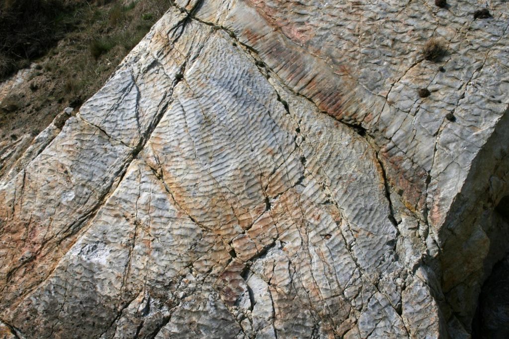 Les ripples marks des Grès Armorician sur la presqu'ile de Crozon.